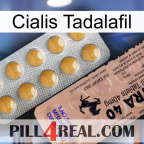 Cialis Tadalafil 41